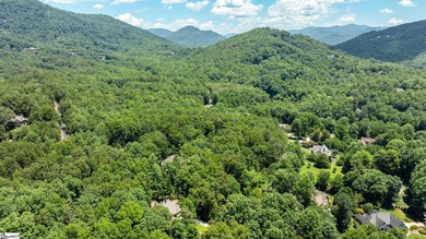 Nestled in the Blue Ridge Mountains just minutes from Greenville - photo 38