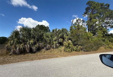 BUILD your DREAM HOME in this well-established North Port - photo 5