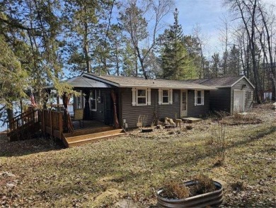 Lake Home For Sale in Nevis, Minnesota