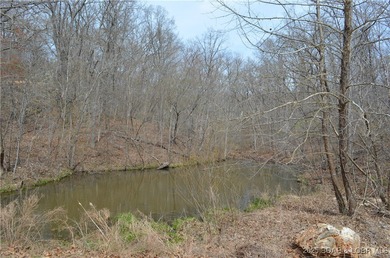 Lake of the Ozarks Acreage For Sale in Stover Missouri