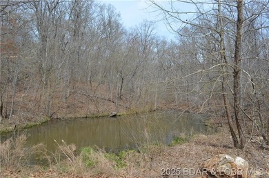 Lake Acreage Active Under Contract in Stover, Missouri