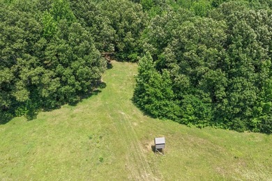 Turn-key hunting camp west of Como! This 177 contiguous acre - photo 36
