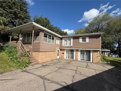 Lake Home For Sale in Maple Lake Twp, Minnesota