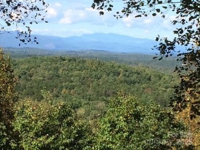 Lake Acreage For Sale in Nebo, North Carolina