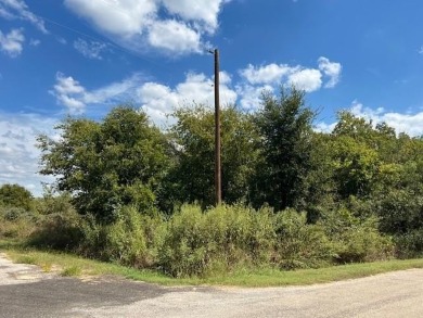 Lake Whitney Lot For Sale in Whitney Texas