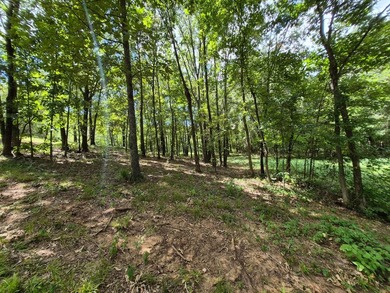 Investor Opportunity - Highway Frontage Shopdominium with - photo 36