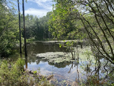 (private lake, pond, creek) Acreage Sale Pending in Baker Florida