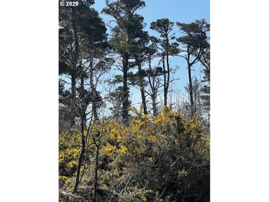 Excellent development opportunity with this 1.16 acre parcel in - photo 1
