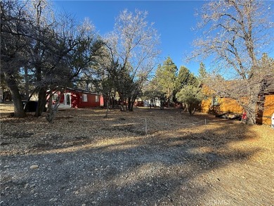 Beautiful level lot just yards away from National forest hiking - photo 2