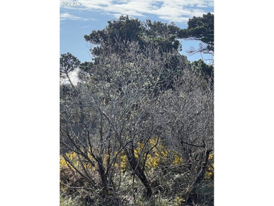Excellent development opportunity with this 1.16 acre parcel in - photo 2