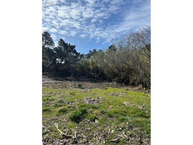Excellent development opportunity with this 1.16 acre parcel in - photo 3
