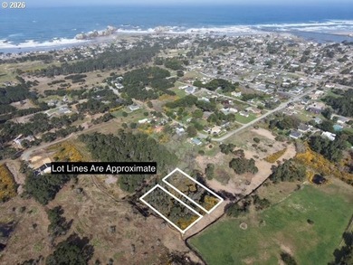 Excellent development opportunity with this 1.16 acre parcel in - photo 5