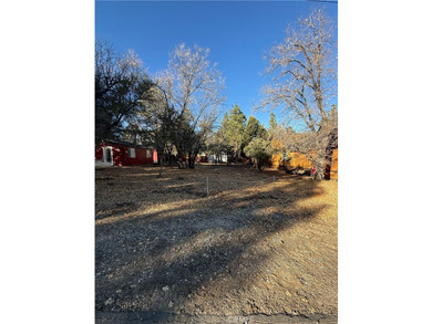 Beautiful level lot just yards away from National forest hiking - photo 6