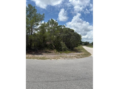 Lake June in Winter Lot Active Under Contract in Lake Placid Florida