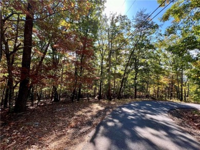 Lake Lot For Sale in Jasper, Georgia