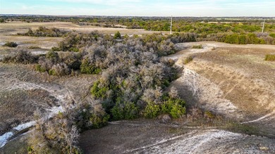 This 290 acre ranch is a beautiful slice of Texas countryside - photo 7