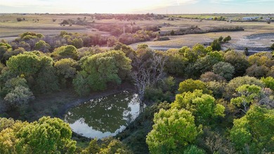 This 290 acre ranch is a beautiful slice of Texas countryside - photo 9