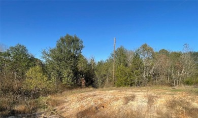 Lake Acreage For Sale in Mineola, Texas