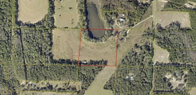 Lake Acreage Sale Pending in Westville, Florida