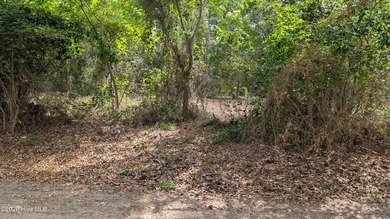 Huge Price Reduction for Quick Sale! Flat, half-acre - photo 4