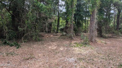 Huge Price Reduction for Quick Sale! Flat, half-acre - photo 6