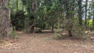 Huge Price Reduction for Quick Sale! Flat, half-acre - photo 7