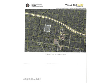 5+ acre undeveloped tract in Northern New Hanover County - photo 1