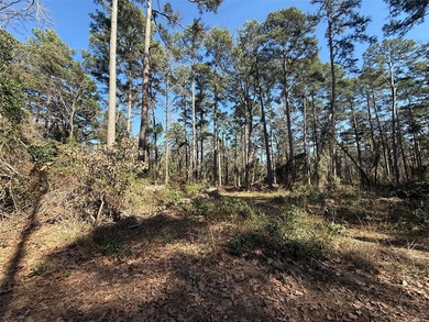 Heavily wooded .78 acres inside the gated 4D Country Estates - photo 1