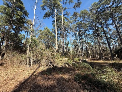 Heavily wooded .78 acres inside the gated 4D Country Estates - photo 3