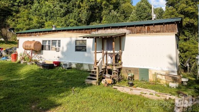 French Broad River - Madison County Acreage For Sale in Marshall North Carolina