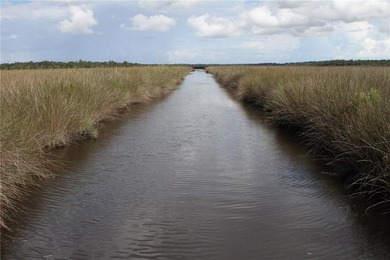 Rare Coastal Development Opportunity with River Access - 2,975 - photo 6