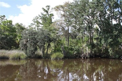 Rare Coastal Development Opportunity with River Access - 2,975 - photo 7