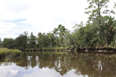 Rare Coastal Development Opportunity with River Access - 2,975 - photo 8