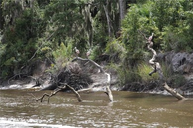 Rare Coastal Development Opportunity with River Access - 2,975 - photo 9