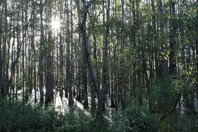 Rare Coastal Development Opportunity with River Access - 2,975 - photo 10