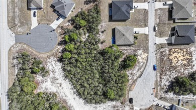 VACANT RESIDENTIAL LOT FOR SALE!!

Build your dream home in - photo 13