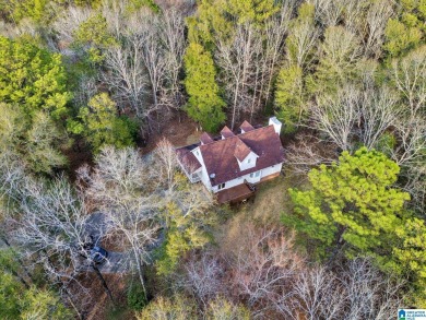 Lake Home For Sale in Brierfield, Alabama