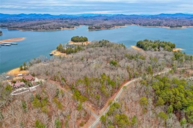 Lake Acreage Off Market in Blue Ridge, Georgia