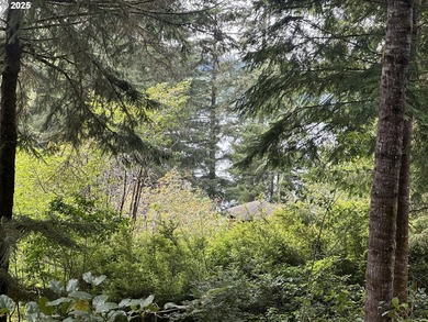 Build your dream home on the beautiful Oregon Coast with this - photo 2