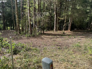 Build your dream home on the beautiful Oregon Coast with this - photo 4