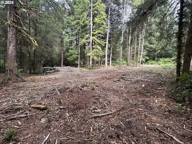 Build your dream home on the beautiful Oregon Coast with this - photo 6