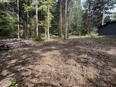 Build your dream home on the beautiful Oregon Coast with this - photo 8
