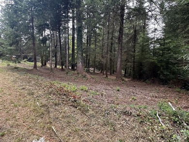 Build your dream home on the beautiful Oregon Coast with this - photo 10