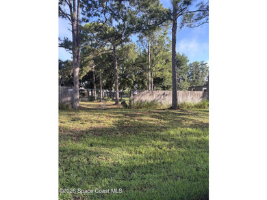 Build your home on this .24-acre homesite in desirable SE Palm - photo 1