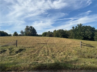 Lake Lot Sale Pending in Gallatin, Missouri