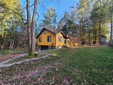 Mountain Lake - Sullivan County Home Sale Pending in Bethel New York
