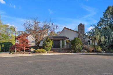 Set within the coveted Estates II gated community in Manhasset - photo 37