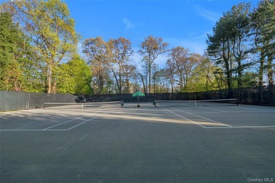 Set within the coveted Estates II gated community in Manhasset - photo 41