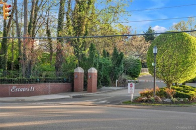 Set within the coveted Estates II gated community in Manhasset - photo 42