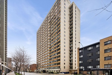 Lake Michigan - Cook County Condo For Sale in Chicago Illinois